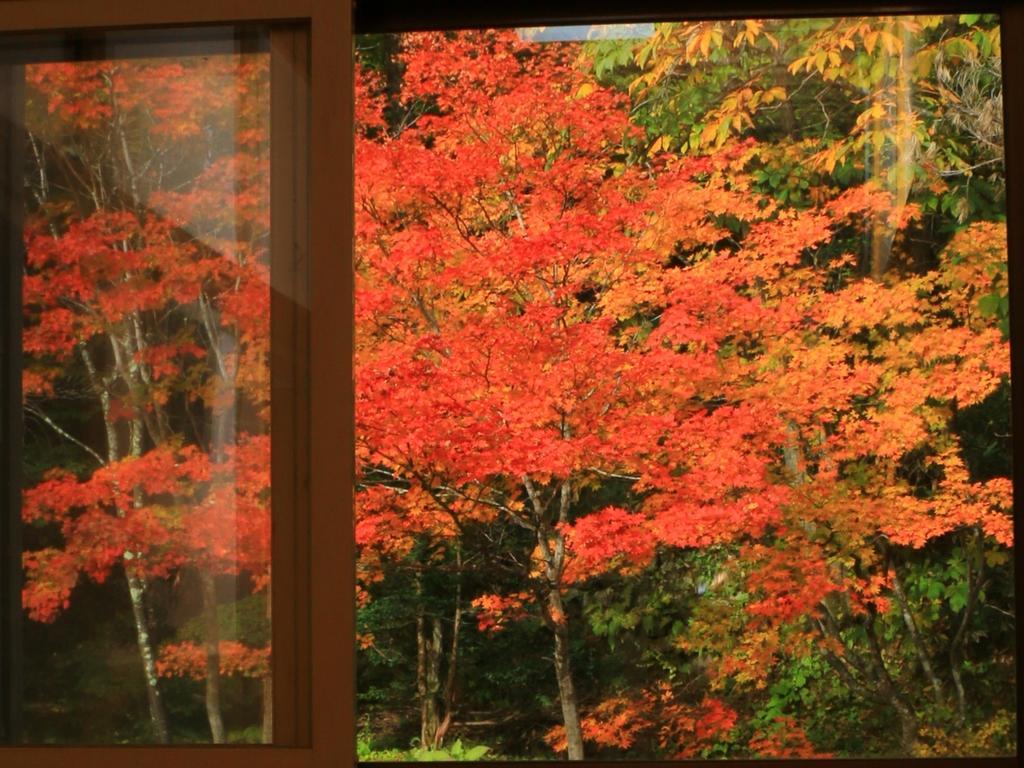 Kyuhonbo Hisayamakan Hotell Nagano Exteriör bild